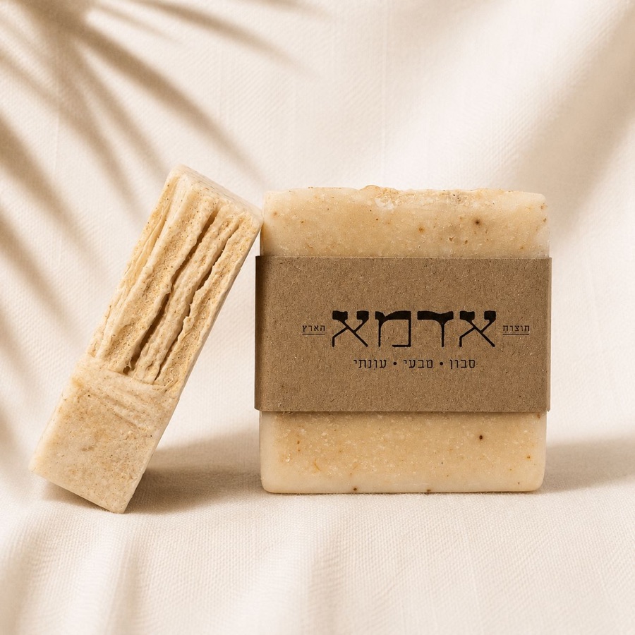 שורשים